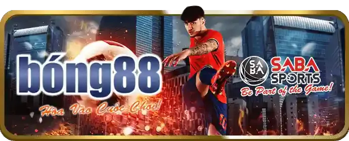 Cài đặt và khởi chạy ứng dụng